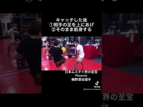 【ローキックへのカウンター】ローをキャッチ後、崩してから打ち込むパターン