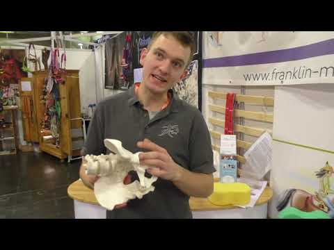 Franklin Methode mit Tobias Rundnagel