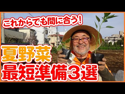 都市に菜園を作るにはどうすればよいですか？シンプルで簡単: 私たちのアドバイスに従ってください!  庭園