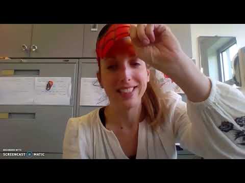 au revoir jdlm - cohorte 2020-201