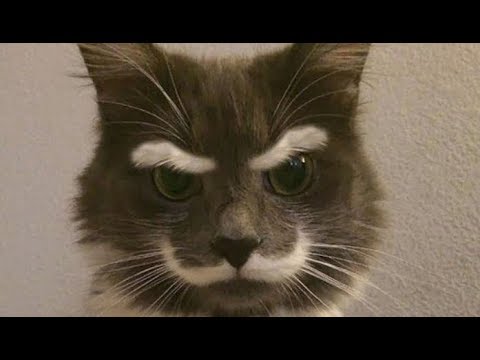 LIVE MSP - 20 osób = loso na uni z 2k19