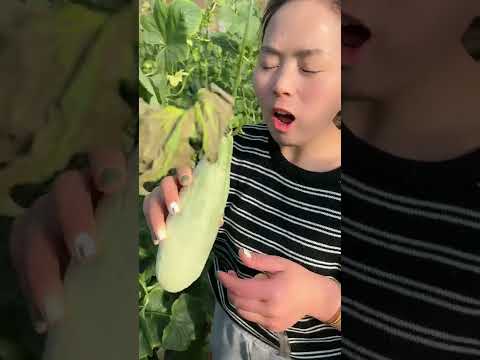 Beautiful Nature - Inspur Fresh Fruit wonderful video of  Industry #0060