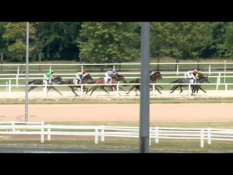 2019.09.08. 01. futam - BADEN - BADEN HENDIKEP (III.o.) (szintetikus pálya)