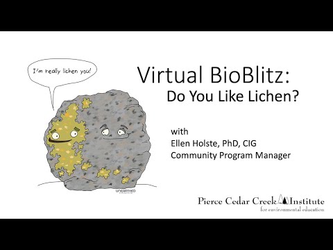 Virtual BioBlitz: Do You Like Lichen (lichen identification) - YouTube