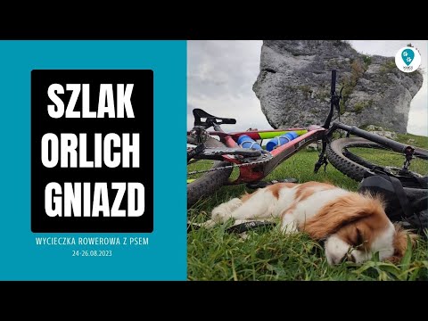 Szlak Orlich Gniazd - Jura Krakowsko Częstochowska na rowerach z Psem