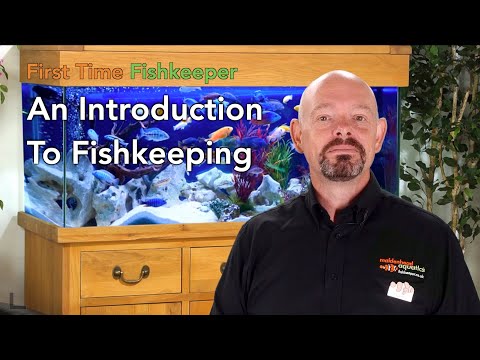 First Time Fishkeeper Episode 1: An Introduction to Fish Keeping