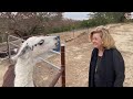 Funny Animals Attacking Moments In Zoo Best On The Internet PETASTIC