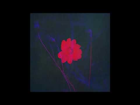 Sonohat - Luceafarul