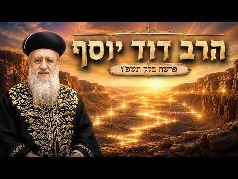 הרב דוד יוסף | פרשת בלק תשפ"ו (2026) | עלונימייל