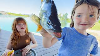 MAKiNG FiSH TRAPS with Niko and Adley!! how to catch Piranha Pirate Fishes for $1 dollar family diy