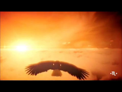 Wolfpakk  -  Mother Earth -