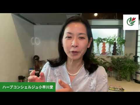 医療ビジネス薬科学科 風邪をハーブで改善する