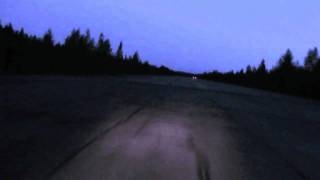 Carbon based lifeforms - Betula Pendula