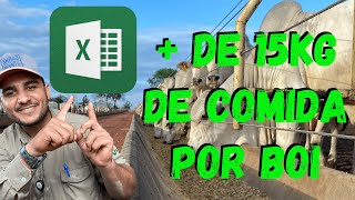 [PASSO A PASSO] como CALCULAR o CONSUMO DE MATERIA SECA de BOVINOS no EXCEL