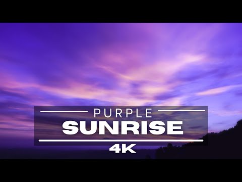 Satisfying Sunrise Time Lapse 4K - Purple Sunsets!