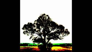 Sam Roberts Band - "No Sleep" - We Were Born In a Flame