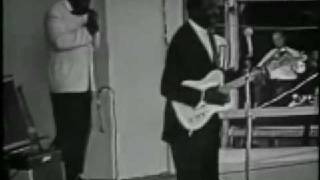 Muddy Waters hoochie coochie man Newport 1960