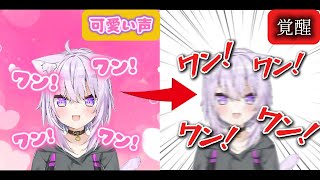 ※音量注意【ワンワンバトル】 アイドルラインを守ろうとするも、リミットを解除して犬たちをわからせる猫又おかゆ【猫又おかゆ】