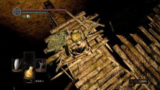 [閒聊] 黑暗靈魂 病村是最難的圖嗎？