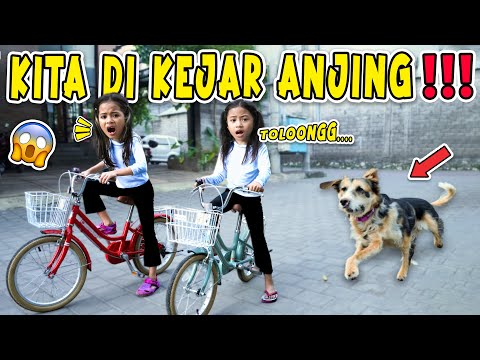 HELP ALUNA AND AMANDA ARE BEING CHASED BY A rabid dog!!