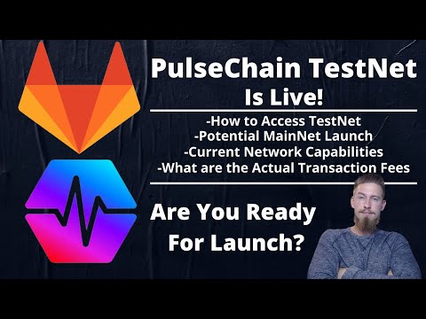 PULSECHAIN TESTNET - How to Set up, When MainNet, & Stats on the Test Server