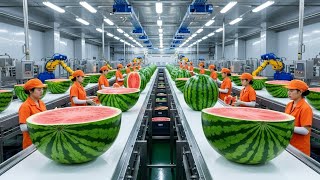 I Went Inside a Modern Watermelon Factory and Here's What I Found