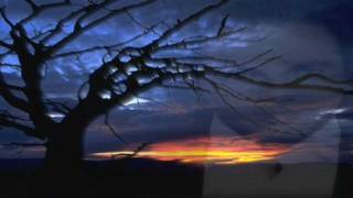 ALMOHADA  CRISTIAN CASTRO Disco Viva el Príncipe 2010