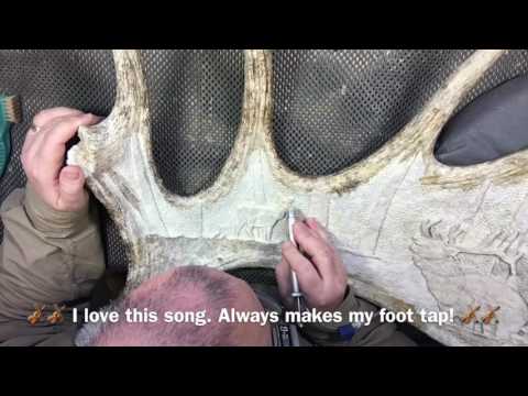 download lagu mp3 mp4 Moose Antler Carving, download lagu Moose Antler Carving gratis, unduh video klip Moose Antler Carving