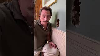 Необычный декор: сказочный уголок для мышей #дневниклили