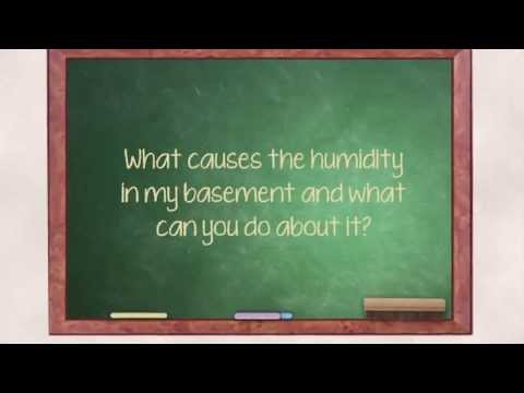 How to Control Humidity in the Basement