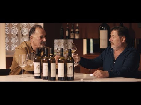 „ALPINA WEIN - Referenzen sichtbar gemacht" /// Folge 10: SATTLERHOF & GRASSNITZBURG