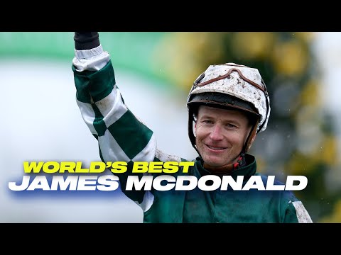 World Horse Racing and International Federation Of Horseracing Authorities (IFHA)