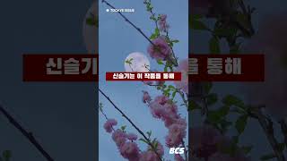 Download lagu 신슬기 #미스춘향 #솔로지역2 #서도아 #피라미드게임 mp3 Download lagu 신슬기 #미스춘향 #솔로지역2 #서도아 #피라미드게임 mp3