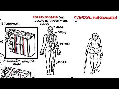 Endocrinology Overview