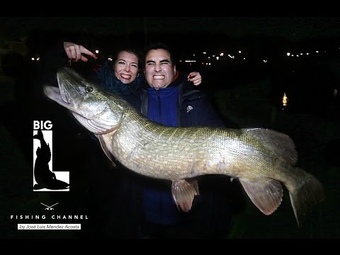JUICY MAMAS - XXL Hechte angeln mit Sarah Perch / Pike Fishing