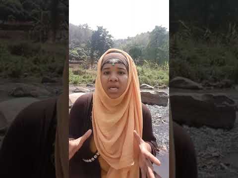 Through the Lens of Islam: Consciousness- Taqwa-Nature