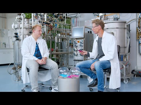 #kurzgefragt: Apparative Biotechnologie, Bachelor | FH Bielefeld