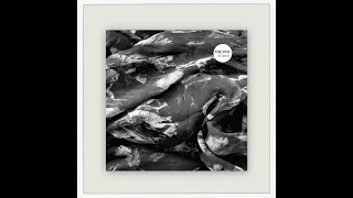 The KVB - Never Enough