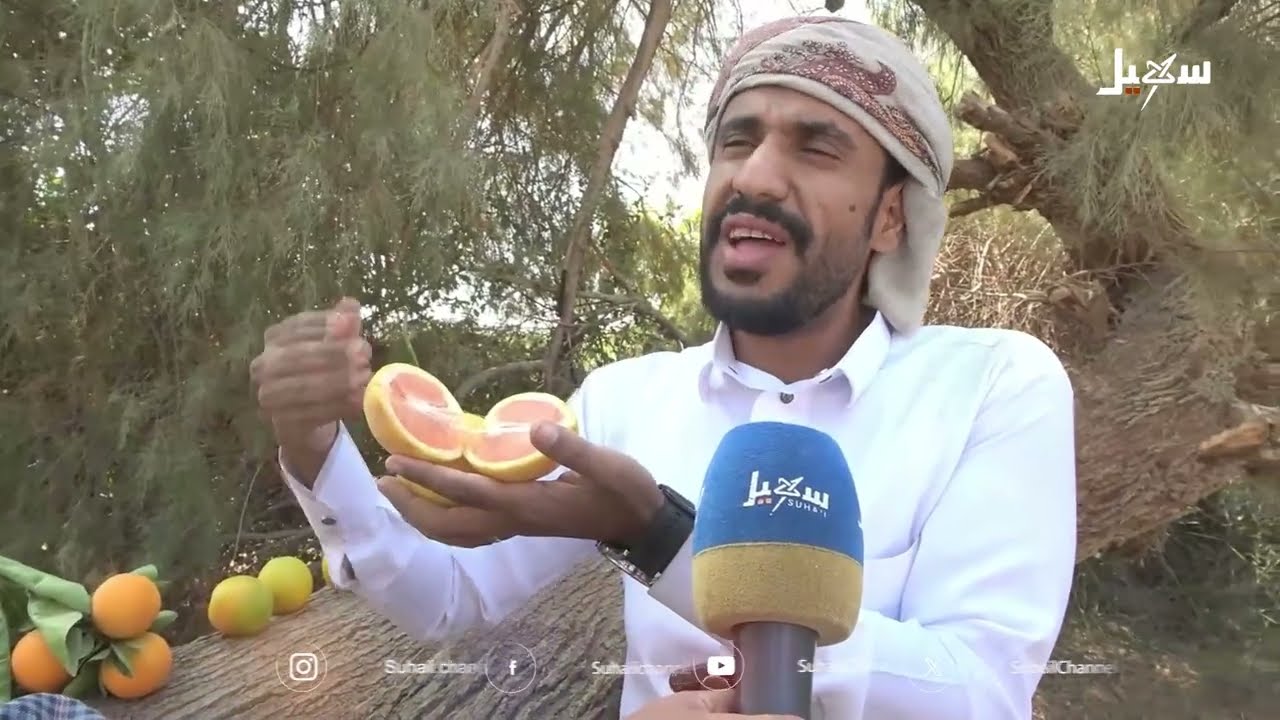 برتقال أرض الجنتين ألوان من حقول الصبر والعطاء