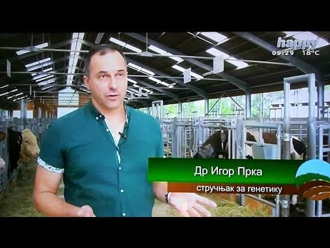 Bolja zemlja - Češki simentalac, I deo