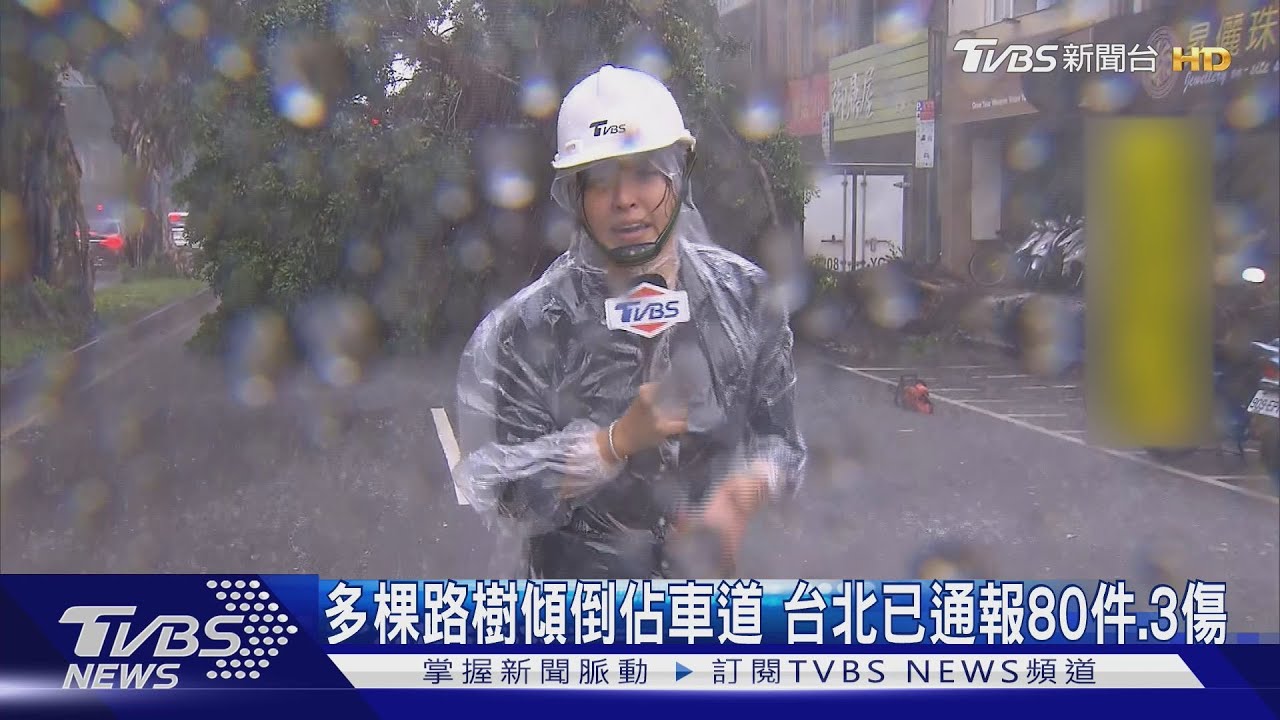 多棵路樹傾倒佔車道!台北已通報80件、3傷 科教館觀測站測十級陣風