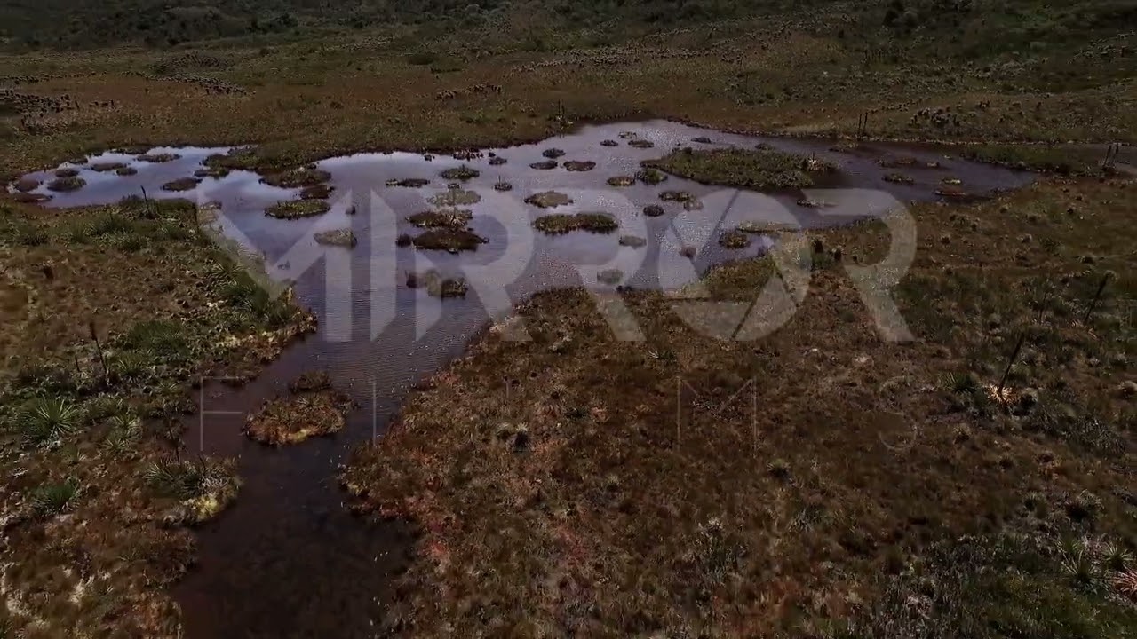 Nacimiento del río Bogotá P4