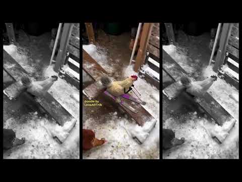 🏆 SKI - WINTER COOP 🏆