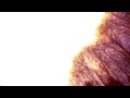 subtractiveLAD - DOUBLE SUNRISE