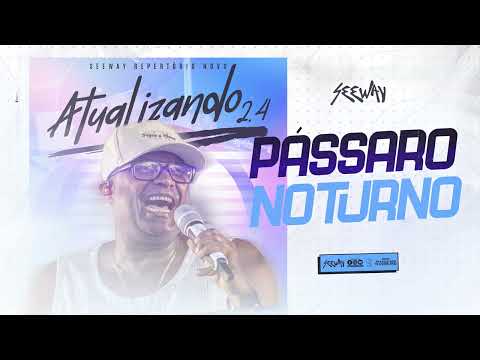 Banda Seeway - Pássaro Noturno