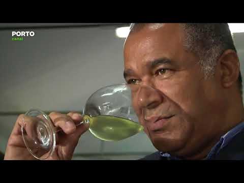 Os "Imperdíveis" vieram conhecer os vinhos da Casa de Santar