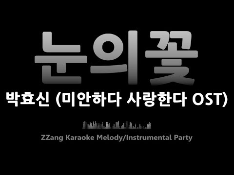 박효신(Park Hyo Shin)-눈의 꽃(Snow Flower)(미안하다 사랑한다 OST)(-1키)(Instrumental) [MR/노래방/KARAOKE]