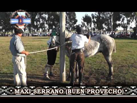 UNA COPLA EN LA LLANURA  RESUMEN 10 10 2015