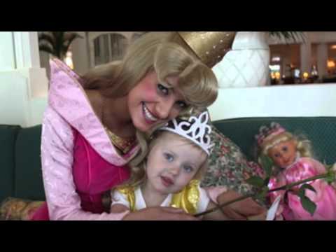 HTM 4336 Social Activities in Theme Park Industry