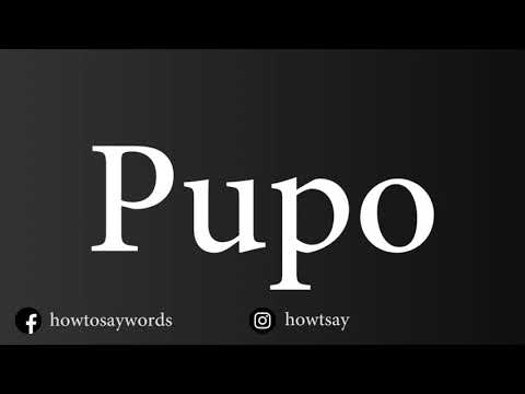 How To Pronounce Pupo